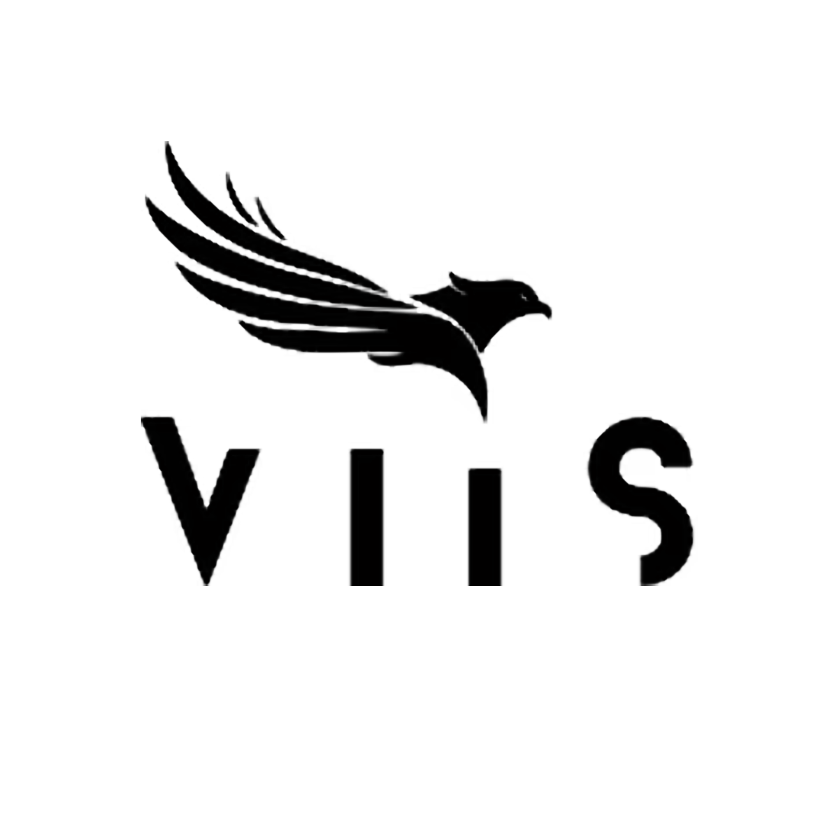 VIIS logo