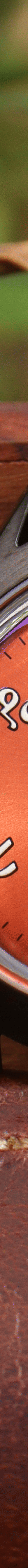 Shastra 'Swarajya' (Stealth Edition)