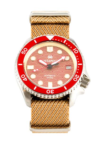 Chesapeake Watch Co.
