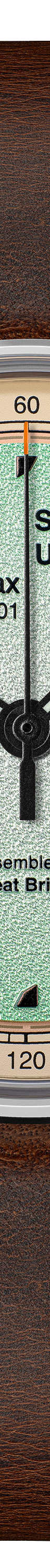 Mint Ch0c Chip (Gen3)