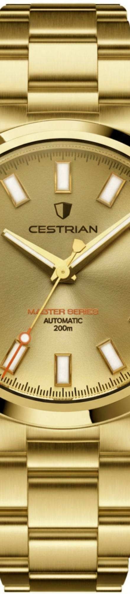 Cestrian Master Series V3 40mm Gold Dial Gold Plated Bracelet Automatic Men's Watch