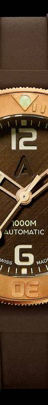 BRONZE ANN0933