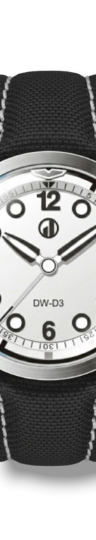 DW-D3 Antarctica