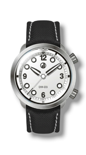 DW-D3 Antarctica
