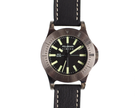 Diving Dutchman
