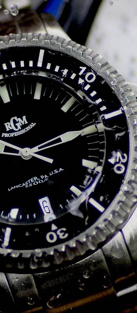Model 300 Professional Diver