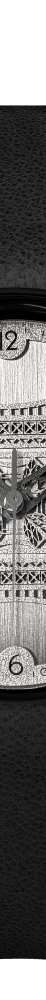 Paris Paper Silver Needles