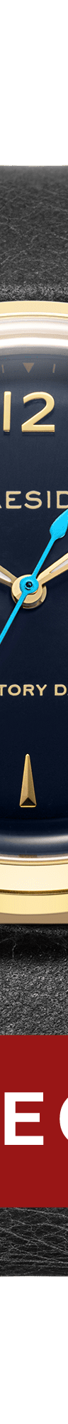 Victory Watch - Blue